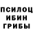 Галлюциногенные грибы Psilocybe TooSimple