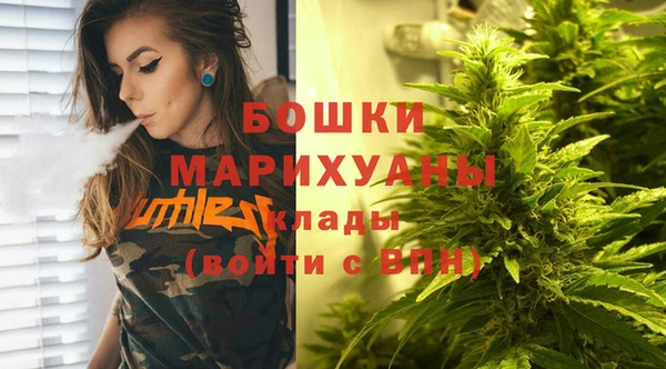 прущие грибы Киреевск