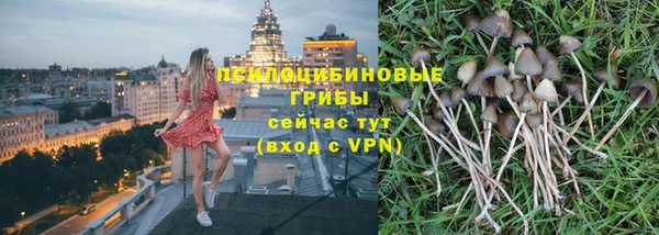 дживик Киренск