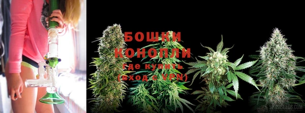 дживик Киренск